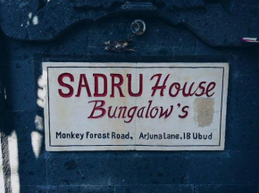 Sadru House